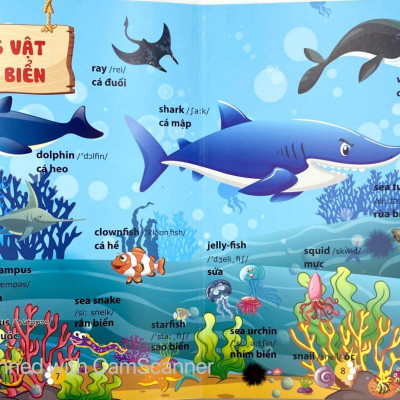 Từ Điển Phát Triển Ngôn Ngữ Bằng Hình Dành Cho Trẻ Mầm Non - Chủ Đề: Động Vật