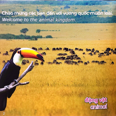 Gõ Cửa Thiên Nhiên Loài Nào Cũng Có Cái Nhất/Đặc Điểm_Animal Champions