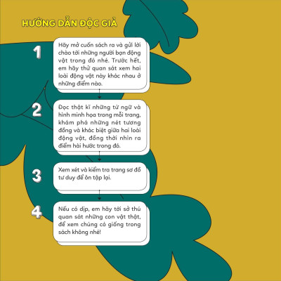 Đố Em Phân Biệt! - Khỉ Đột Và Tinh Tinh
