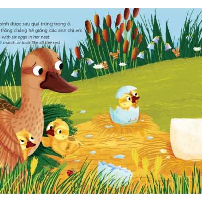 Sách Chuyển Động - First Stories - Vịt Con Xấu Xí - The Ugly Duckling - Bìa Cứng
