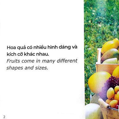 Gõ Cửa Thiên Nhiên Hoa Quả Thật Thú Vị/Rèn Trí Tưởng Tượng_Fruits Are Interesting