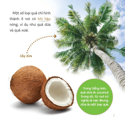 Healthy Eating - Ăn Uống Lành Mạnh - Hoa Quả
