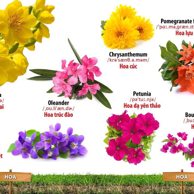 Từ Điển Bằng Hình - Song Ngữ Anh-Việt - Hoa, Quả, Rau, Củ