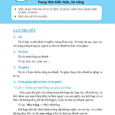 Trọng Tâm Kiến Thức Tiếng Việt Luyện Thi Vào Lớp 6 - Có Đáp Án - Tập 1