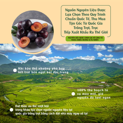 Mận Khô 120g Dan D Pak