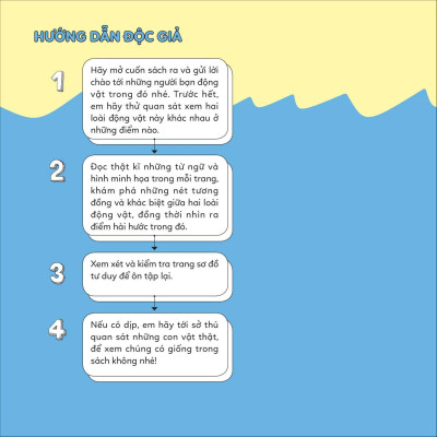 Đố Em Phân Biệt! - Sư Tử Biển Và Hải Cẩu