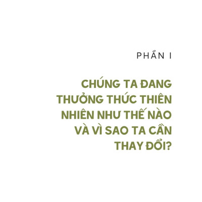 Sách - Vẻ Đẹp Của Cảnh Sắc Tầm Thường - Hay Vì Sao Chúng Ta Cần Thay Đổi Cách Thưởng Thức Thiên Nhiên? - Bìa Cứng