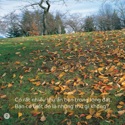 Song Ngữ Việt Anh - Khám Phá Thế Giới - Trong Lòng Đất - Under The Ground
