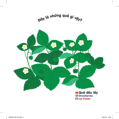 Sách Chuyển Động Thông Minh Đa Ngữ Việt - Anh - Pháp: Các Loại Hoa Quả - Fruits - Les Fruits (Tái Bản)