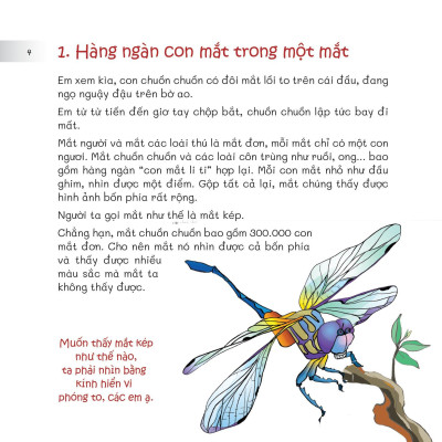 Chuyện Lạ Loài Vật - Mắt Để Nhìn, Tai Để Nghe
