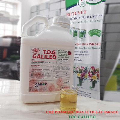 Combo 2 Chai Nước Cắm Hoa Lâu Tàn và Kiềm hoa không nở 15 ngày tại nhà vườn trồng hoa bằng dung dịch bảo quản hoa TOG Galileo của Israel