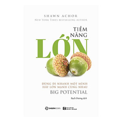 Tiềm Năng Lớn_SGB