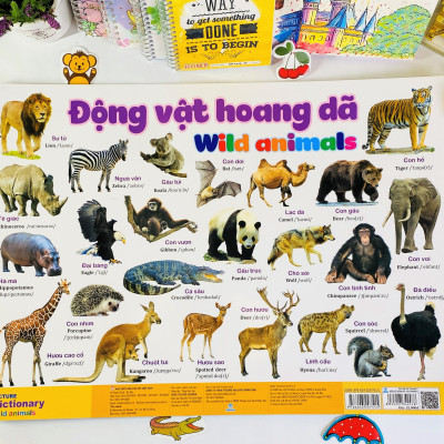 Sách - Combo 9 tờ Tranh Dành Cho Bé (song ngữ Anh Việt) - ndbooks