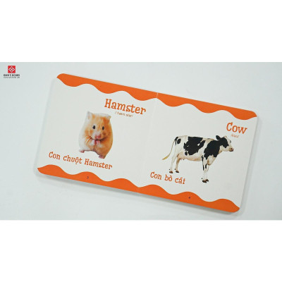 Sách - Từ Điển Bằng Hình Cho Trẻ Mầm Non - Dành Cho Trẻ 0 - 6 Tuổi - Chọn Lẻ 6 Chủ Đề - Đinh Tị Books