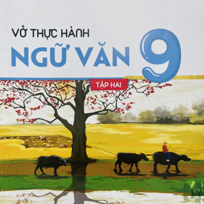 Sách - Vở thực hành Ngữ văn lớp 9 tập 1+2 (HB)