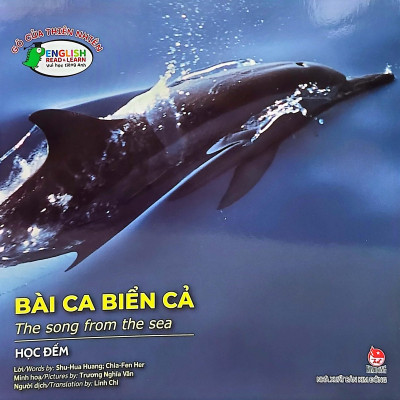 Gõ Cửa Thiên Nhiên Bài Ca Biển Cả: Học Đếm_The Song From The Sea