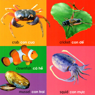 	101 First Words – Animals (101 Từ Đầu Tiên – Động Vật) _ML