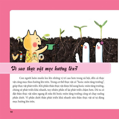 Tiến Sĩ Mèo Thông Thái - Thực Vật Diệu Kì