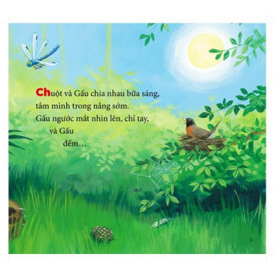 Cùng gấu khám phá -The Bear Books - Gấu học đếm - Bear counts