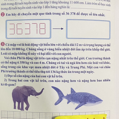 Sách - Phát Triển Trí Thông Minh Toán 4 - Biên soạn theo chương trình GDPT mới
