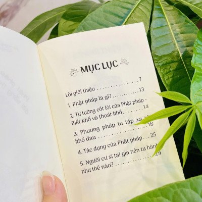 Sách - Phật pháp trong đời sống thường ngày - Hòa thượng Thánh Nghiêm - Vĩnh nghiêm Books
