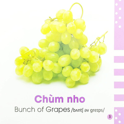 Từ Điển Bằng Hình Cho Bé - Các Loại Hoa Quả - Fruits
