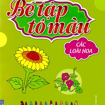 Bé Tập Tô Màu - Các Loài Hoa (Song Ngữ Anh - Việt)