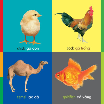 101 First Words - Animals (101 Từ Đầu Tiên - Động Vật)