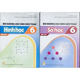 ￼Sách - (Combo 2 cuốn ) Bồi dưỡng học sinh giỏi toán 6 ( bài tập hình học + số học )