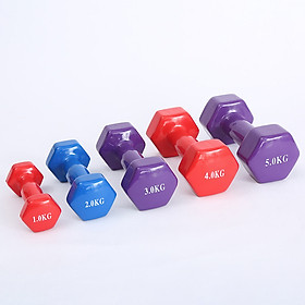 Tạ Tay Nữ Bảo Hành 12 Tháng Tạ Tay Tập Gym Chất Liệu Gang Nguyên Khối Bọc Cao Su Êm Ái Cleacco TTN Boro Sport ( 1 Cái )