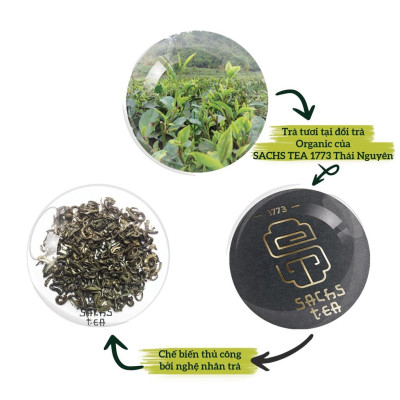 Trà xanh hoa nhài SACHS TEA 1773 ướp thủ công bởi nghệ nhân vị thơm ngọt hậu kéo dài hộp thiếc cao cấp 70g/hộp