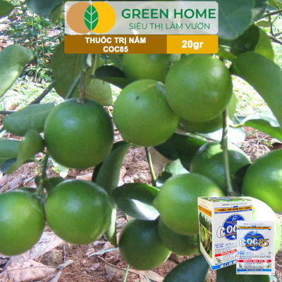 Thuốc Trị Nấm Cây Trồng Greenhome, Coc85 Wp, Gói 20gr, Trừ Đốm Lá Cho Hoa Hồng, Nấm Trên Kiểng Lá, Cây Cảnh, Cây Ăn Quả