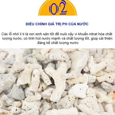 San Hô Vụn túi 1KG vật liệu lọc hồ cá, trang trí bể cá, hồ thủy sinh