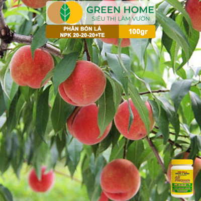 Phân Bón Lá Grow More NPK 20-20-20, GreenHome, Chai 100GR, To Củ, Lớn Trái, Chắc Hạt
