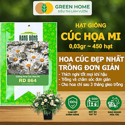 Hạt Giống Cúc Hoạ Mi Greenhome, Gói 0,03gr~450 hạt, Dễ Trồng Quanh Năm, Hoa Trắng, Nhuỵ Vàng H04