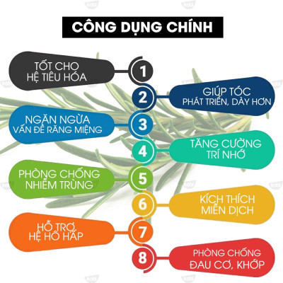 Tinh Dầu Hương Thảo Kobi - Tinh Dầu Thiên Nhiên Nguyên Chất, Tinh Dầu Xông Phòng, Giúp Giảm Stress, Xua Đuổi Côn Trùng Và Khử Mùi Hiệu Quả, Thích Hợp Dùng Với Đèn Xông Và Máy Khuếch Tán Tinh Dầu (5ml)