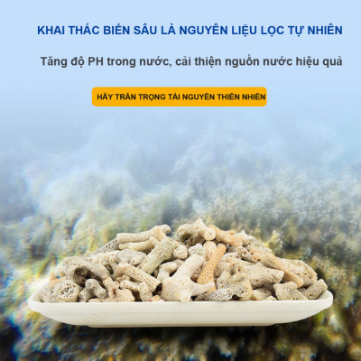 San Hô Vụn túi 1KG vật liệu lọc hồ cá, trang trí bể cá, hồ thủy sinh