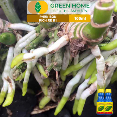 Phân Bón Kích Rễ, Greenhome, B1, Chai 100ml, Tạo Mầm, Rễ Khoẻ, Sai Hoa, Phục Hồi Rễ Yếu, Lá Dày