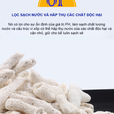 5KG San Hô Vụn vật liệu lọc hồ cá, trang trí bể cá, hồ thủy sinh cao cấp 