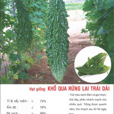 Hạt giống khổ qua rừng trái Dài giống kháng sâu bệnh - nảy mầm khỏe VTP126