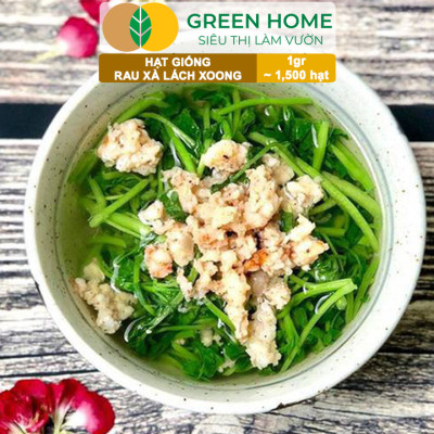 Hạt Giống Rau Xà Lách Xoong Greenhome, Gói 0.1g~1500 hạt, Dễ Trồng Quanh Năm, Độ Nảy Mầm Cao, Thu Hoạch Nhanh, Năng Suất Cao R01