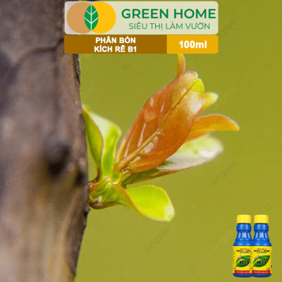 Phân Bón Kích Rễ, Greenhome, B1, Chai 100ml, Tạo Mầm, Rễ Khoẻ, Sai Hoa, Phục Hồi Rễ Yếu, Lá Dày
