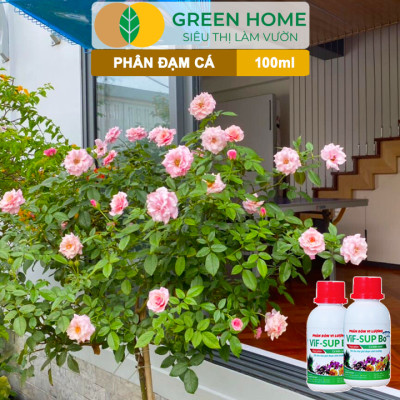 Phân Đạm Cá Greenhome, Minro, Chai 100ml, Hữu Cơ Giúp Thân, Rễ Cây Khoẻ, Siêu Chồi Và Hoa Phù Hợp Cho Hoa Hồng, Rau