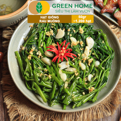 Hạt giống rau Muống cao sản, gói 50g~1200 hạt, dễ trồng, thu hoạch nhanh R09