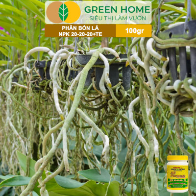 Phân Bón Lá Grow More NPK 20-20-20, GreenHome, Chai 100GR, To Củ, Lớn Trái, Chắc Hạt