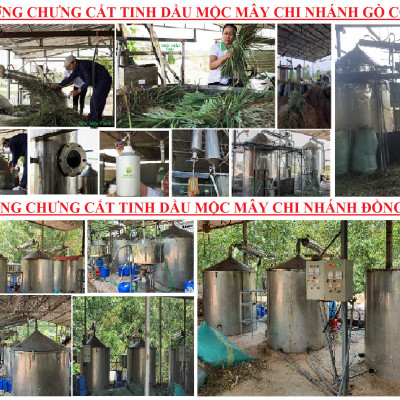 Tinh dầu Bạc hà chai 01Lít Mộc Mây - tinh dầu nguyên chất từ thiên nhiên - Có kiểm định - Chất lượng và mùi hương vượt trội