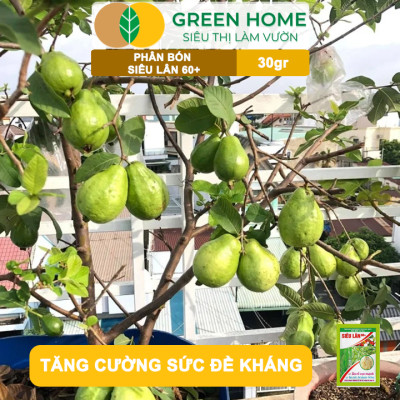 Phân Bón Lá Greenhome, Siêu Lân 60+, Gói 30gr, Phát Triển Rễ, Tạo Mầm Hoa, Kích Ra Hoa