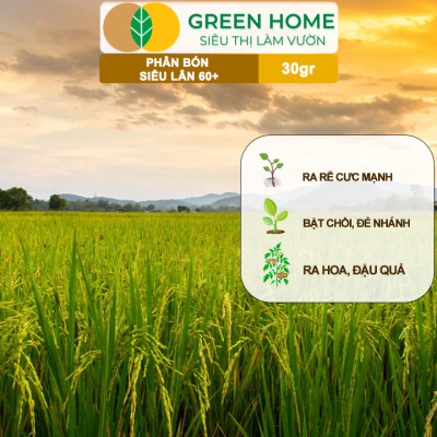 Phân Bón Lá Greenhome, Siêu Lân 60+, Gói 30gr, Phát Triển Rễ, Tạo Mầm Hoa, Kích Ra Hoa