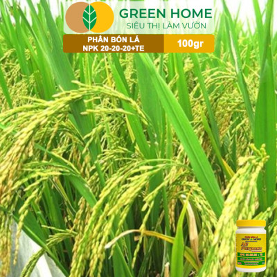 Phân Bón Lá Grow More NPK 20-20-20, GreenHome, Chai 100GR, To Củ, Lớn Trái, Chắc Hạt