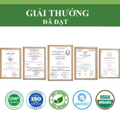 Tinh dầu Tràm Huế (Tràm Gió) 50ml xuất khẩu thị trường Mỹ, nguyên chất từ thiên nhiên, An Toàn Cho Bé, Xông Phòng, Khử Mùi, Kháng Khuẩn, Đuổi Muỗi, Giải Cảm - KingOil